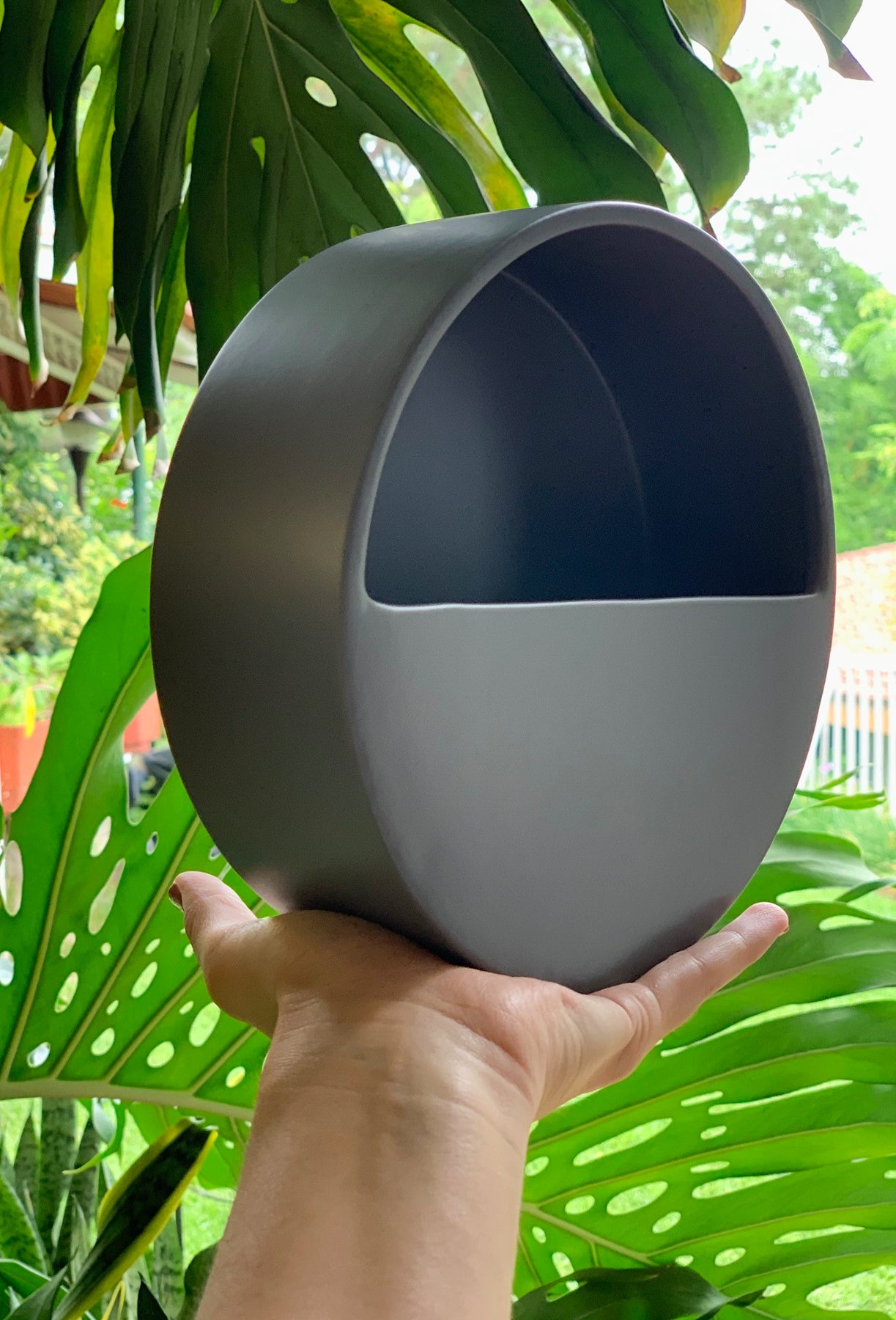 Radisson Wall Planter