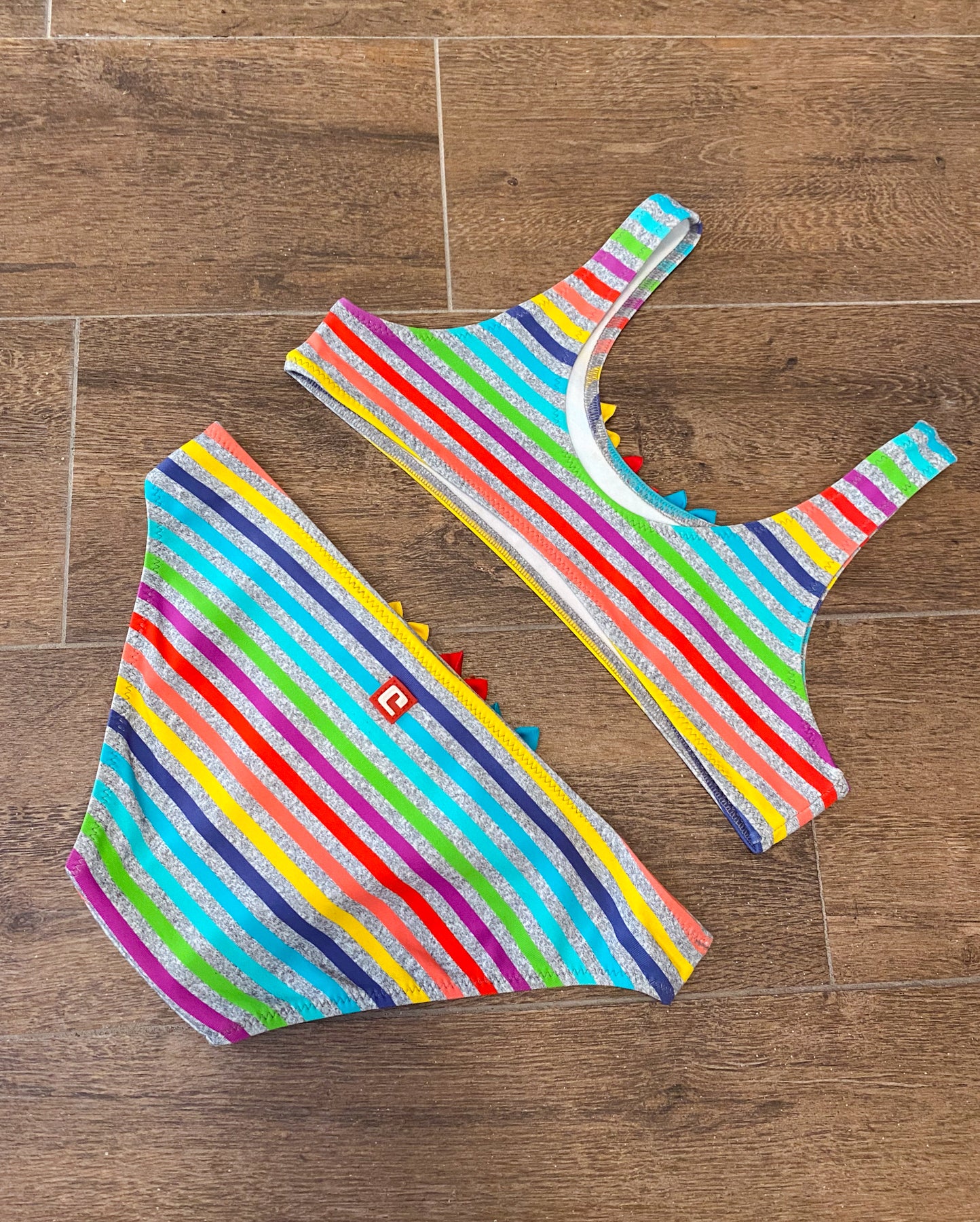 Rainbow Stripes Swimsuit