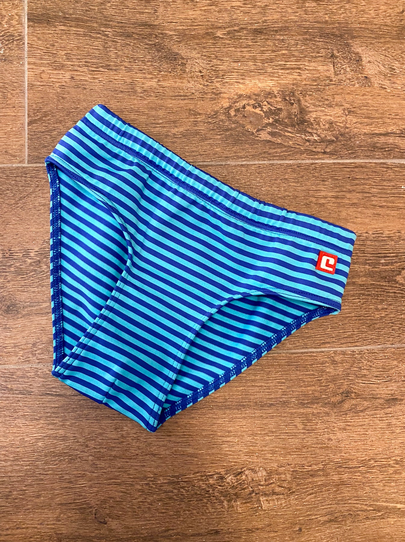 Blue Toned Striped Swimsuit & Short