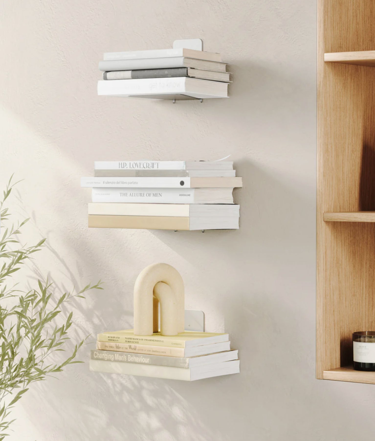 Conceal Shelf (3)