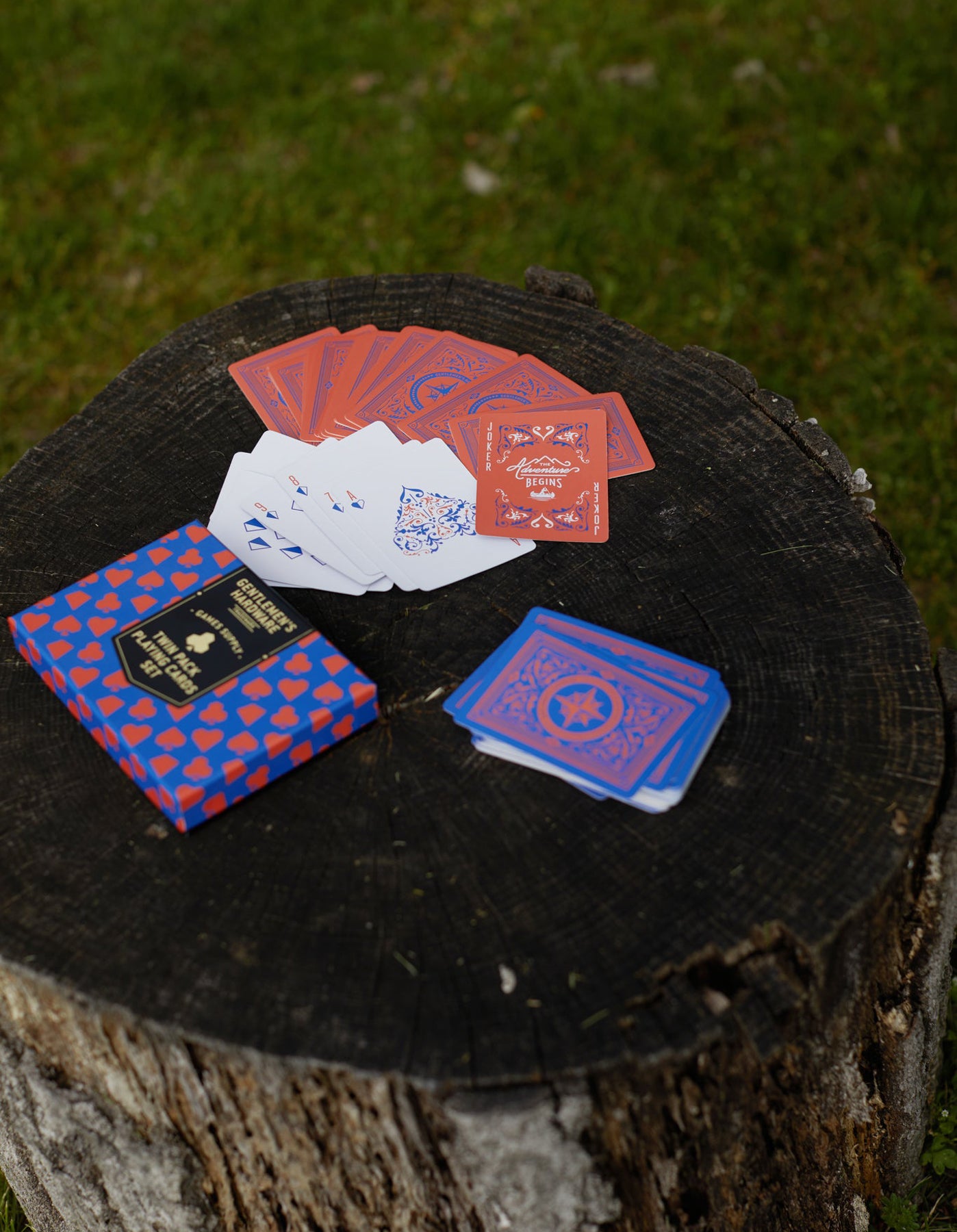 Twin Pack Playing Cards