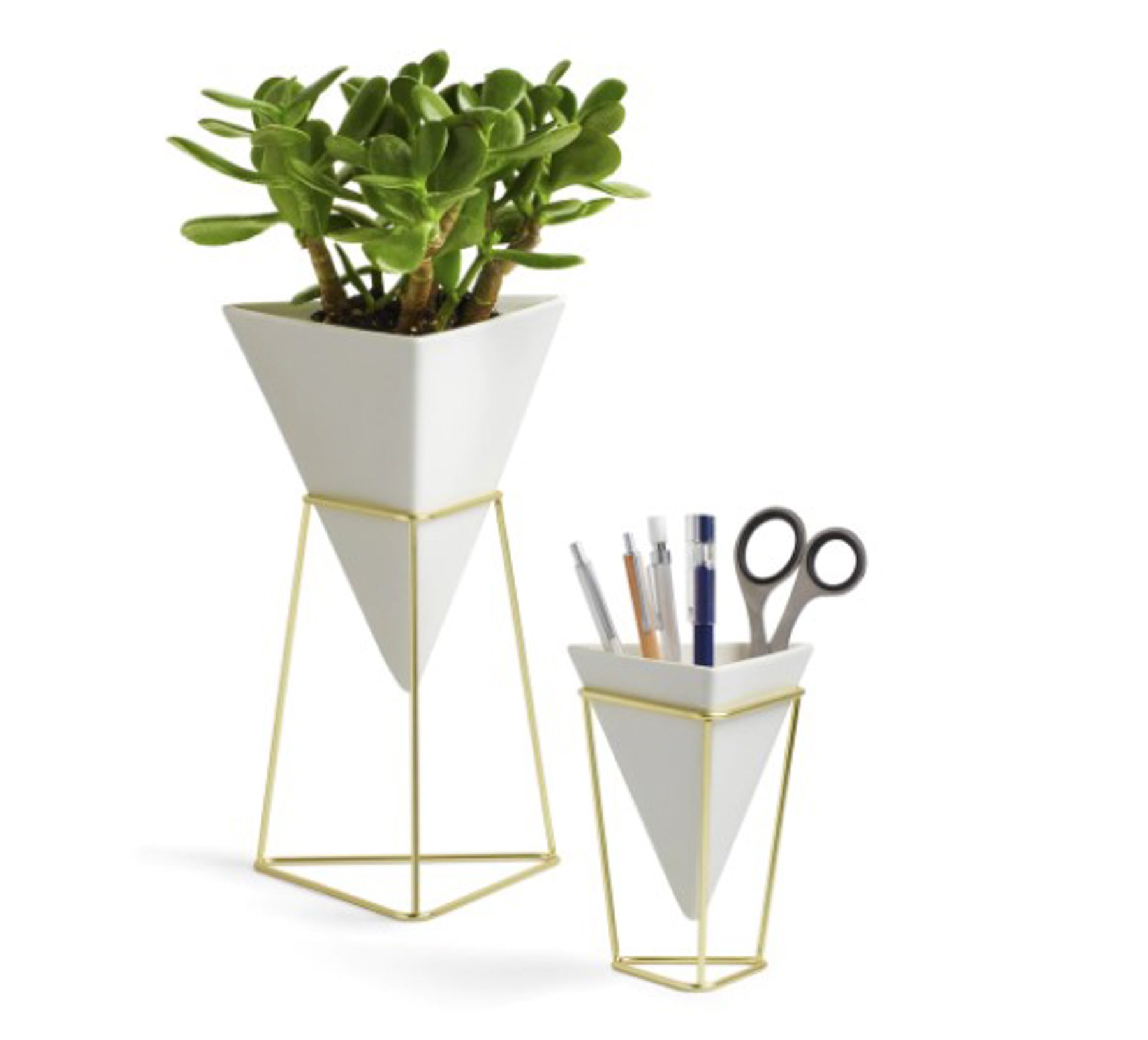 Trigg Tabletop Set (2)