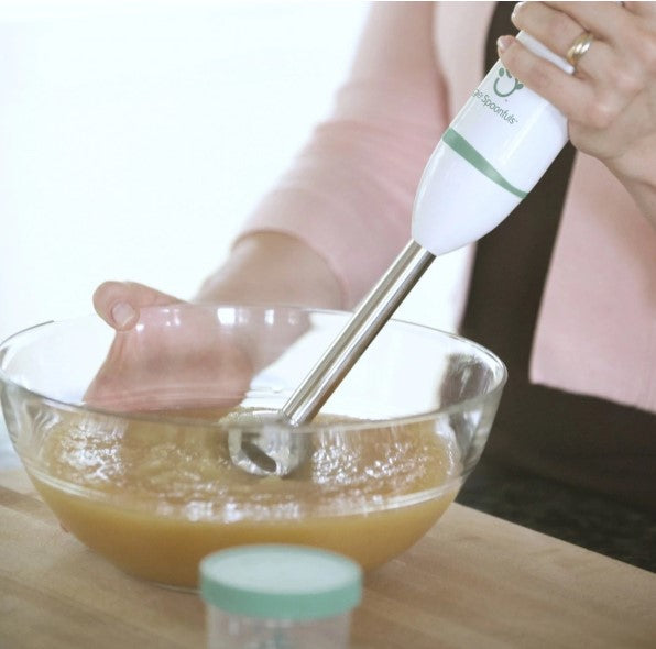 Baby Puree Blender and Food Processor - 4 pieces