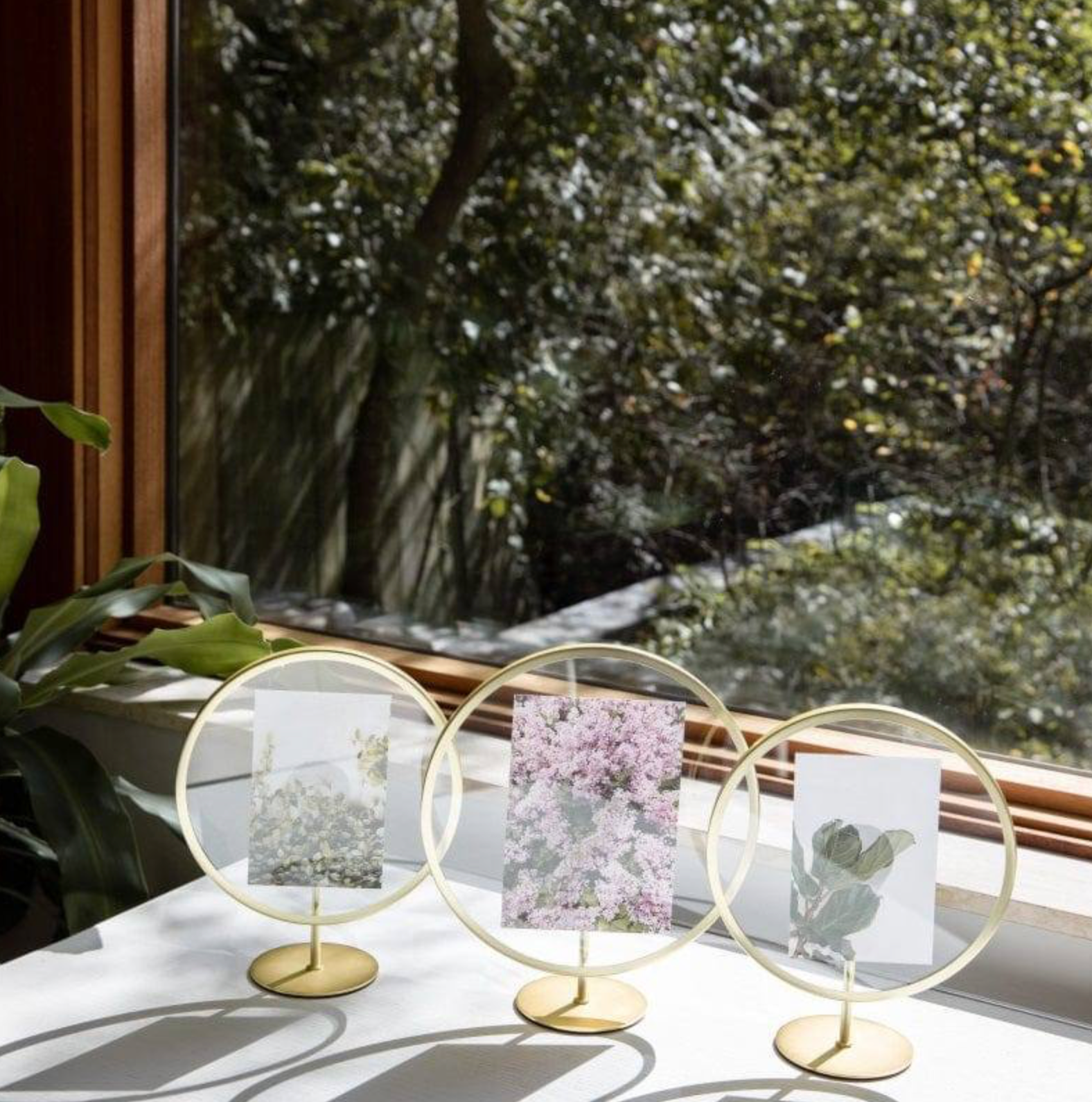 Infinity Pd 5X7 Mat Bras - Marco De Fotos