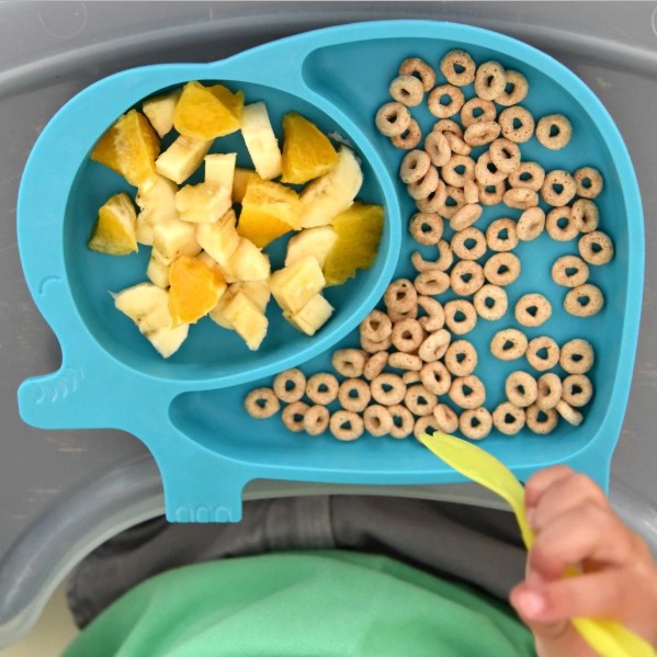 Sili Elephant Silicoe Plate